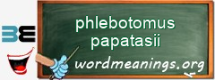 WordMeaning blackboard for phlebotomus papatasii